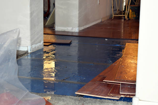 Professional Structural Drying technician working in La Ward, TX